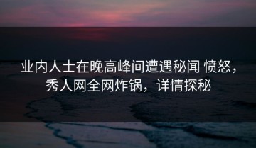 业内人士在晚高峰间遭遇秘闻 愤怒，秀人网全网炸锅，详情探秘