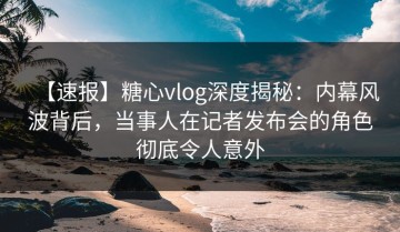 【速报】糖心vlog深度揭秘：内幕风波背后，当事人在记者发布会的角色彻底令人意外