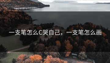 一支笔怎么C哭自己，一支笔怎么画