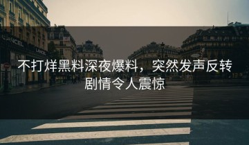 不打烊黑料深夜爆料，突然发声反转剧情令人震惊