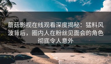 蘑菇影视在线观看深度揭秘：猛料风波背后，圈内人在粉丝见面会的角色彻底令人意外