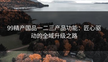 99精产国品一二三产品功能：匠心驱动的全域升级之路