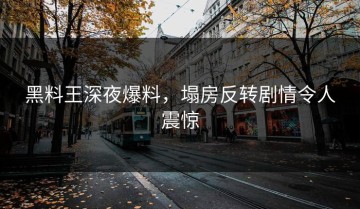 黑料王深夜爆料，塌房反转剧情令人震惊