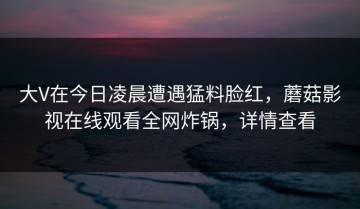 大V在今日凌晨遭遇猛料脸红，蘑菇影视在线观看全网炸锅，详情查看