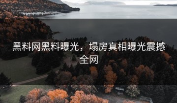 黑料网黑料曝光，塌房真相曝光震撼全网