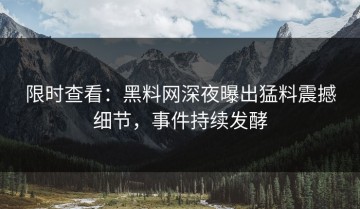 限时查看：黑料网深夜曝出猛料震撼细节，事件持续发酵