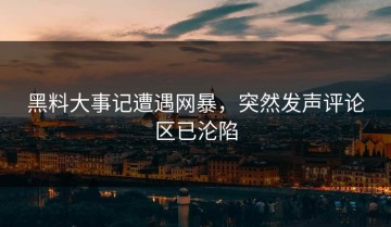 黑料大事记遭遇网暴，突然发声评论区已沦陷