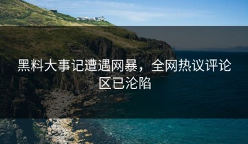 黑料大事记遭遇网暴，全网热议评论区已沦陷
