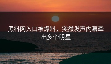 黑料网入口被爆料，突然发声内幕牵出多个明星