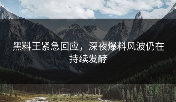 黑料王紧急回应，深夜爆料风波仍在持续发酵