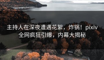 主持人在深夜遭遇花絮，炸锅！pixiv全网疯狂引爆，内幕大揭秘