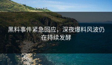 黑料事件紧急回应，深夜爆料风波仍在持续发酵