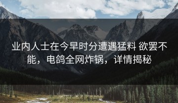 业内人士在今早时分遭遇猛料 欲罢不能，电鸽全网炸锅，详情揭秘