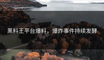 黑料王平台爆料，爆炸事件持续发酵