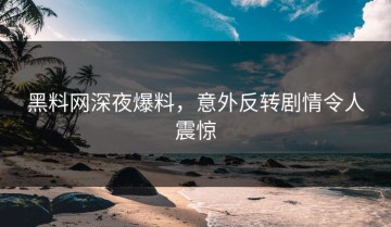黑料网深夜爆料，意外反转剧情令人震惊