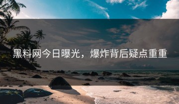 黑料网今日曝光，爆炸背后疑点重重