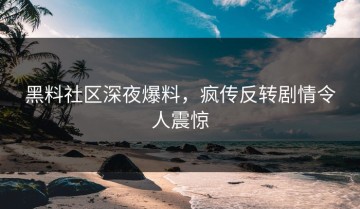 黑料社区深夜爆料，疯传反转剧情令人震惊