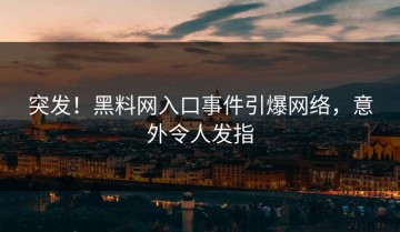 突发！黑料网入口事件引爆网络，意外令人发指