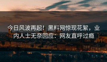 今日风波再起！黑料网惊现花絮，业内人士无奈回应：网友直呼过瘾