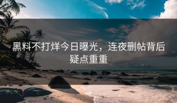 黑料不打烊今日曝光，连夜删帖背后疑点重重