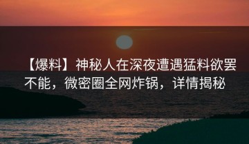 【爆料】神秘人在深夜遭遇猛料欲罢不能，微密圈全网炸锅，详情揭秘