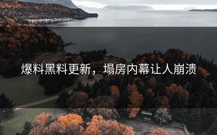 爆料黑料更新，塌房内幕让人崩溃