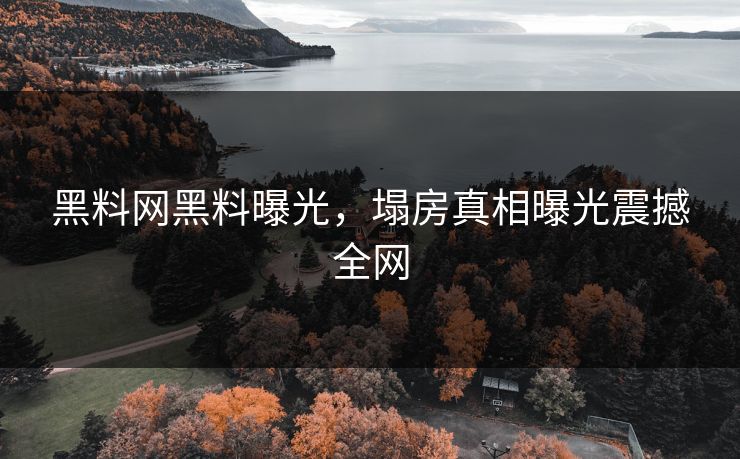 黑料网黑料曝光，塌房真相曝光震撼全网