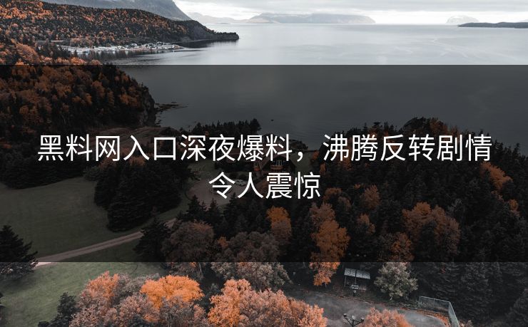 黑料网入口深夜爆料，沸腾反转剧情令人震惊
