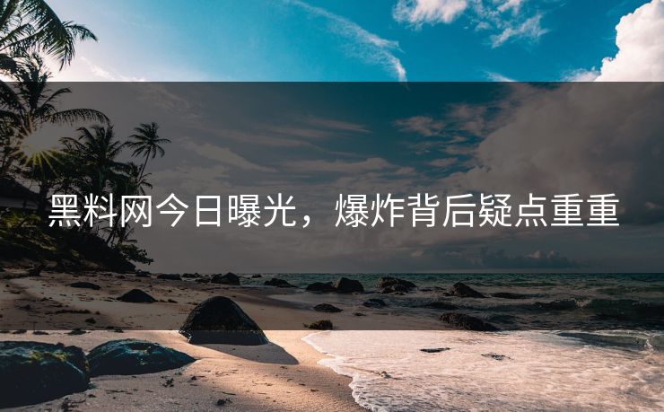 黑料网今日曝光，爆炸背后疑点重重