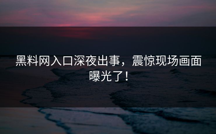 黑料网入口深夜出事，震惊现场画面曝光了！