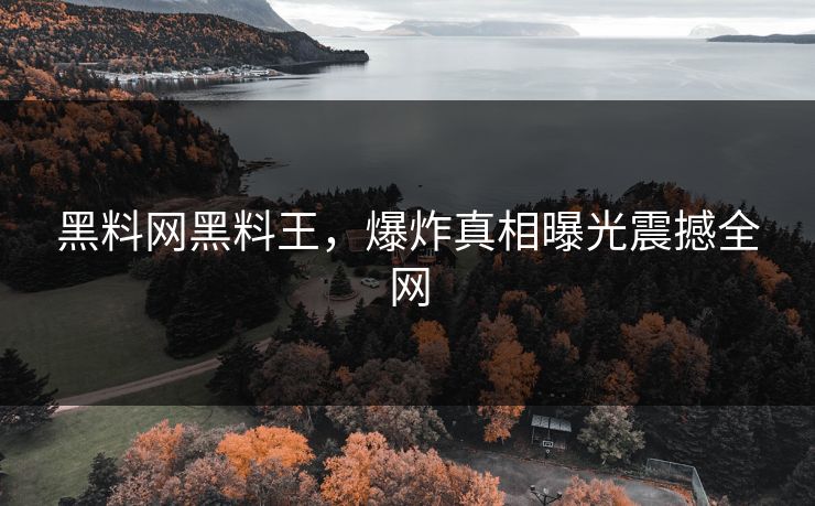 黑料网黑料王，爆炸真相曝光震撼全网