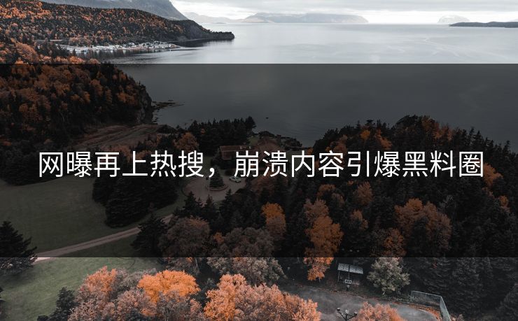 网曝再上热搜，崩溃内容引爆黑料圈