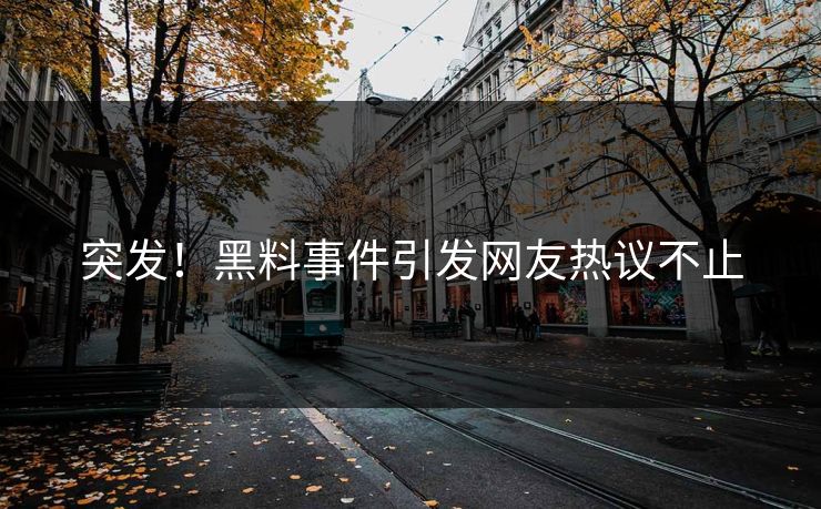 突发！黑料事件引发网友热议不止