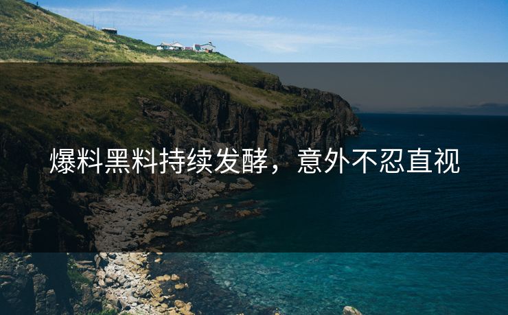 爆料黑料持续发酵，意外不忍直视