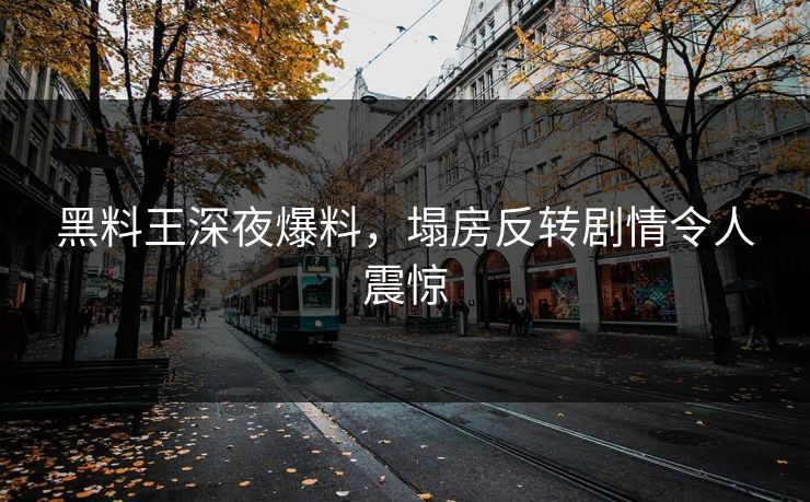 黑料王深夜爆料，塌房反转剧情令人震惊