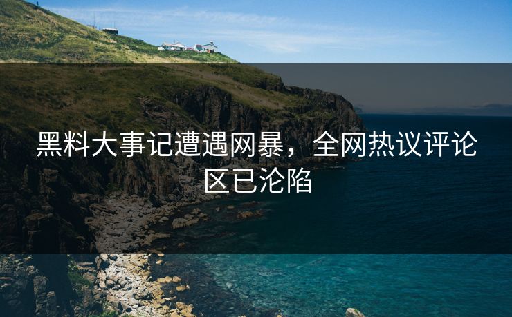 黑料大事记遭遇网暴，全网热议评论区已沦陷