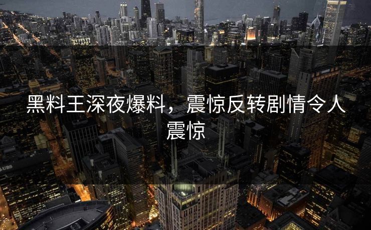 黑料王深夜爆料，震惊反转剧情令人震惊