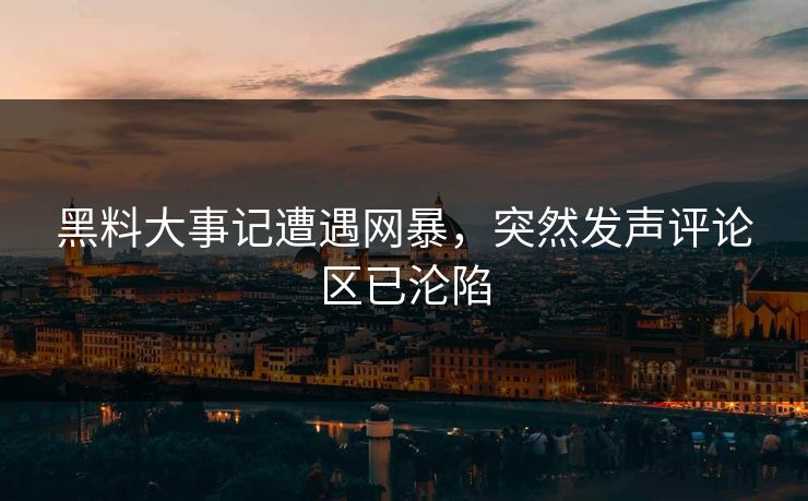 黑料大事记遭遇网暴，突然发声评论区已沦陷