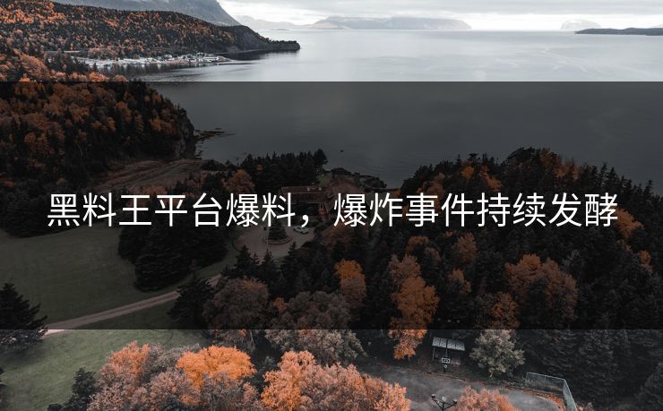 黑料王平台爆料，爆炸事件持续发酵