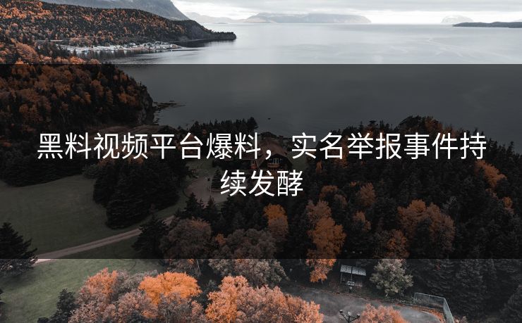 黑料视频平台爆料，实名举报事件持续发酵