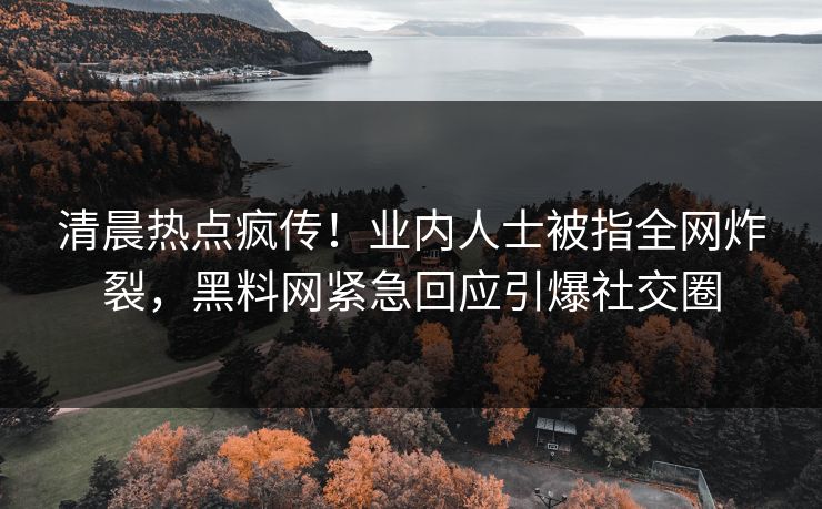 清晨热点疯传！业内人士被指全网炸裂，黑料网紧急回应引爆社交圈
