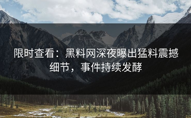 限时查看：黑料网深夜曝出猛料震撼细节，事件持续发酵
