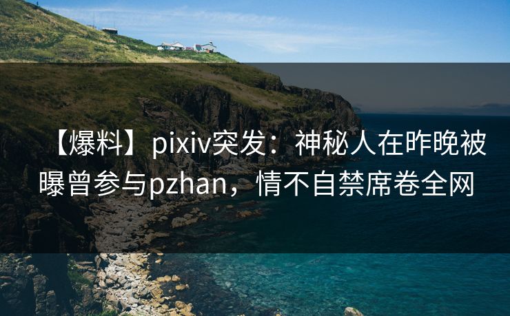 【爆料】pixiv突发：神秘人在昨晚被曝曾参与pzhan，情不自禁席卷全网