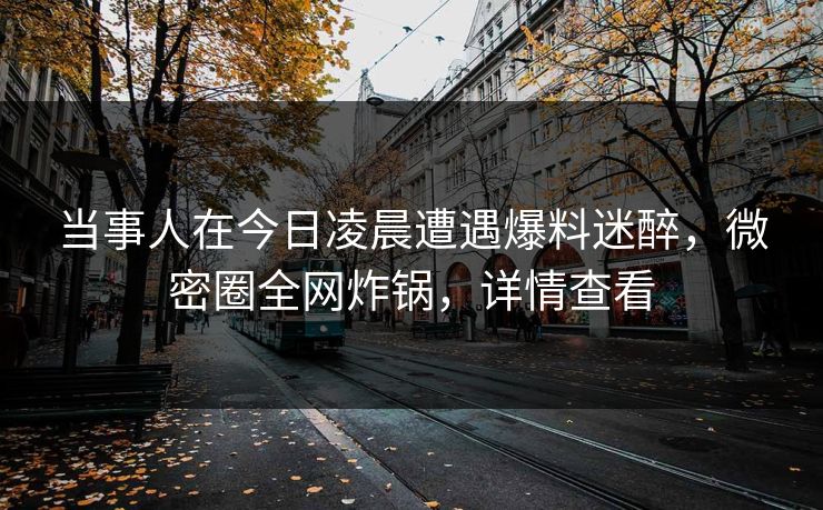 当事人在今日凌晨遭遇爆料迷醉，微密圈全网炸锅，详情查看