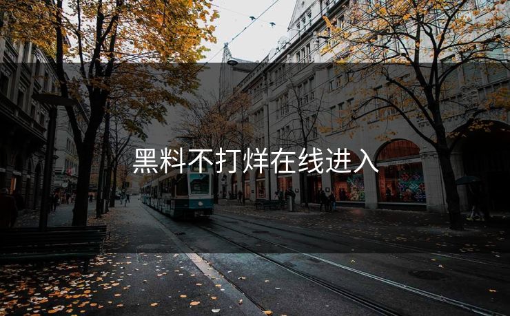 黑料不打烊在线进入